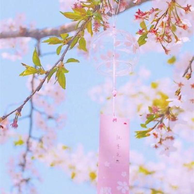 本田大辅（饰 儿玉） - gv网钙片在线观看16 - 在线直播